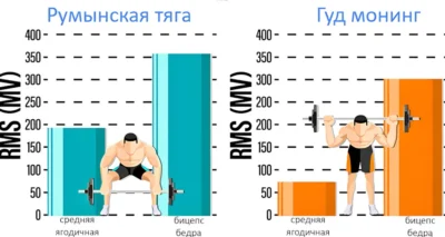 румынская тяга и гуд монинг что лучше исследование румынская тяга и гуд монинг что лучше исследование