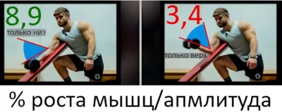 sgibanie-ruk-na-biczeps-polnaya-i-chastichnaya-amplituda-issledovanie-1