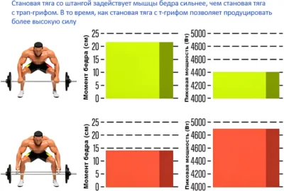 становая с прямым и трэп грифом исслед