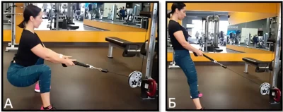 sumo-prisedaniya-u-nizhnego-bloka-tehnika-vypolneniya
