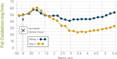 syvorotochnyj-i-soevyj-protein-chto-luchshe-dlya-szhiganiya-zhira-issledovanie syvorotochnyj-i-soevyj-protein-chto-luchshe-dlya-szhiganiya-zhira-issledovanie