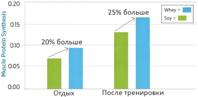 syvorotochnyj-i-soevyj-protein-chto-luchshe-sinteza-belka-i-rosta-myshcz-issledovanie syvorotochnyj-i-soevyj-protein-chto-luchshe-sinteza-belka-i-rosta-myshcz-issledovanie