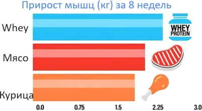 сывороточный против говяжий протеин прирост мышц исслед сывороточный против говяжий протеин прирост мышц исслед