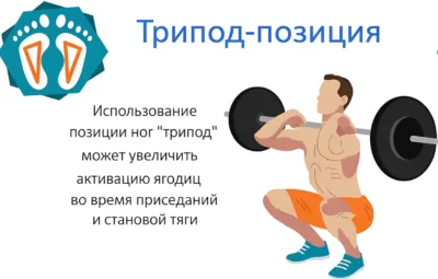 tripod-pozicziya-stop-prisedaniya-i-stanovaya-issledovanie