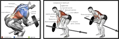 Tyaga-shtangi-za-odin-konets-myishtsyi up tyaga-shtangi-za-odin-konets-myishtsyi-up