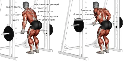 Тяга ятса в смита мышцы tyaga-yatsa-v-smita-myshczy