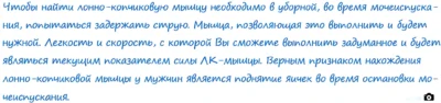 uprazhnenie-kegelya-instrukcziya-kak-najti-intimnye-myshczy