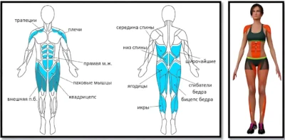 Uprazhnenie-zvezda-myishtsyi uprazhnenie-zvezda-myishtsyi