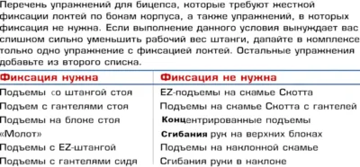 упражнения на бицепс с фиксацией локтей и без неё список uprazhneniya-na-biczeps-s-fiksacziej-loktej-i-bez-neyo-spisok