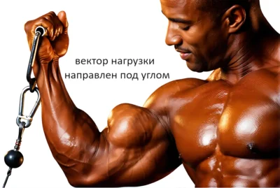 vektor-nagruzki-podem-ganteli-na-biczeps-na-bloke