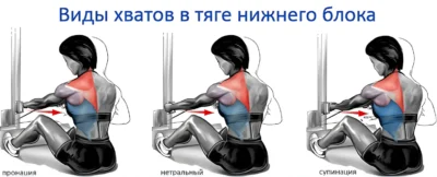 виды хватов в тяге нижнего блока прямой рукоятью vidyi-hvatov-v-tyage-nizhnego-bloka-pryamoy-rukoyatyu