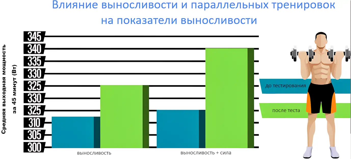влияние паралелльных тренировок на выносливость исслед влияние паралелльных тренировок на выносливость исслед
