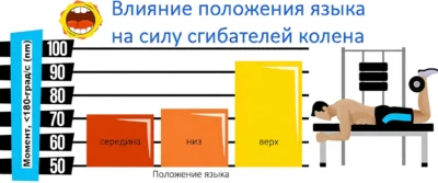 vliyanie-polozheniya-yazyka-na-silu-sgibatelej-kolena-issledovanie
