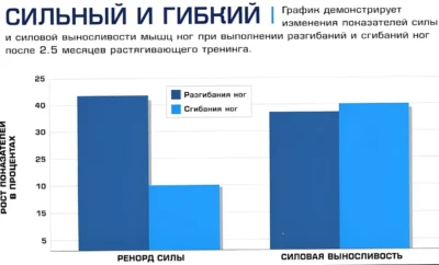 vliyanie-rastyazhki-nog-na-ih-silu-issledovanie
