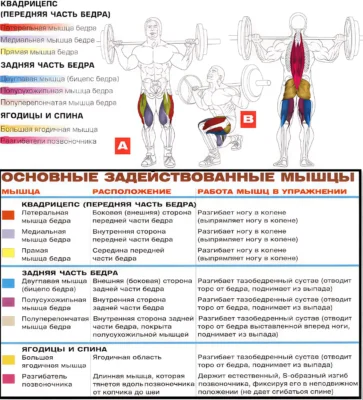 vypady-so-shtangoj-myshczy-2 vypady-so-shtangoj-myshczy-2