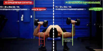 zhim-gantelej-lezha-oshibka-2-predplechya-sognuty-ili-vertikalnye up