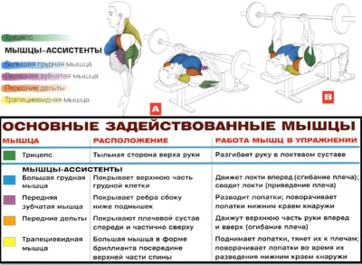 zhim-lezha-uzkim-hvatom-myshczy-2-up
