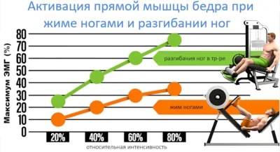 жим ногами и разгибания ног в тренажере сравнение исслед
