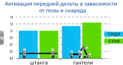 жим штанги и гантелей сидя и стоя что лучше исследование