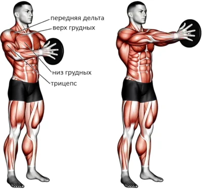 zhim-svenda-myishtsyi