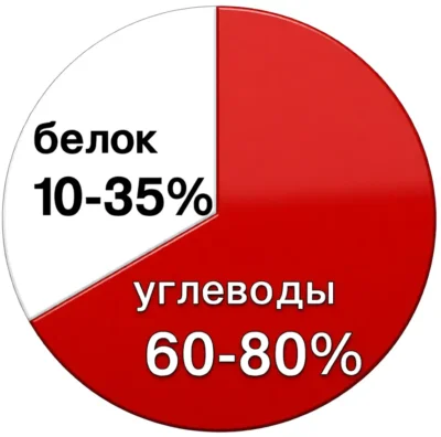 chto-takoe-gejner-proczent-belka-i-uglevodov-sootnoshenie chto-takoe-gejner-proczent-belka-i-uglevodov-sootnoshenie