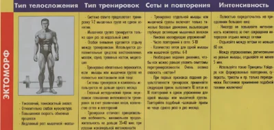 ektomorf-pitanie-trenirovki-kardio-tablicza