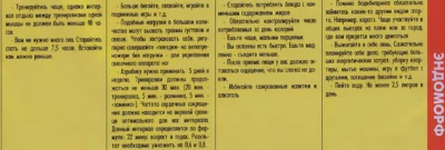 endomorf-pitanie-trenirovki-kardio-tablicza-2