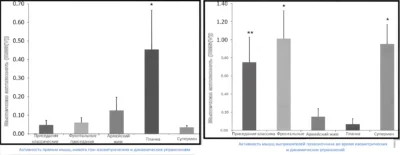 issledovanie-2011-goda-pmid-21157393-frontalnye-prisedaniya up frontalnye-prisedaniya-issledovaniya-pubmed
