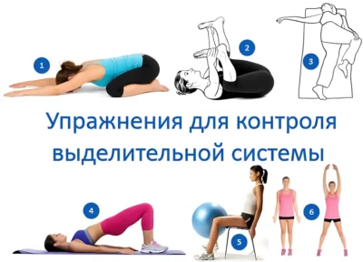 luchshie-uprazhneniya-dlya-kontrolya-vydelitelnoj-sistemy