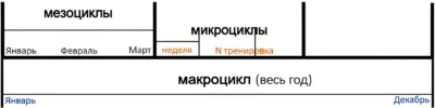 makro-mezo-i-mikroczikly-v-bodibildinge