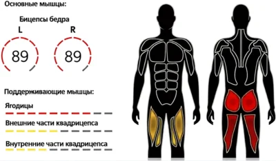 podem-korpusa-stoya-na-kolenyah-v-upore-myshczy