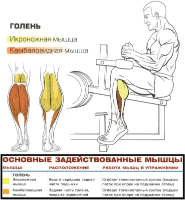 podemy-na-noski-sidya-myshczy-2