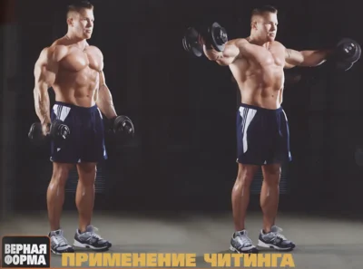 podemyi-ganteley-v-storonyi-vernaya-forma2