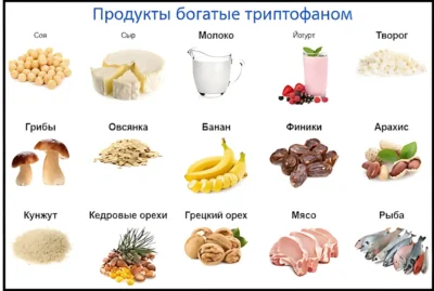 Продукты богатые триптофаном produkty-bogatye-triptofanom-grafika