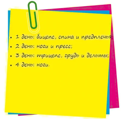 тренировочная программа для новичков trenirovochnaya-programma-dlya-novichkov