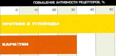 vliyanie-na-testosteron-priema-sportivnogo-pitaniya