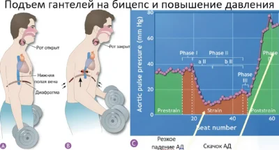 подъем гантелей на бицепс и повышение давления, маневр Вальсальвы пример