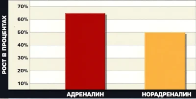 adrenalin-i-myshechnaya-massa-issledovanie_upsc